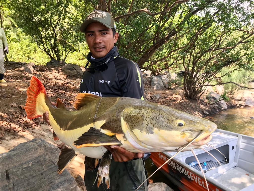 É neste fim de semana, em Nova Teotônio, o PVHA Pesca Show 2025